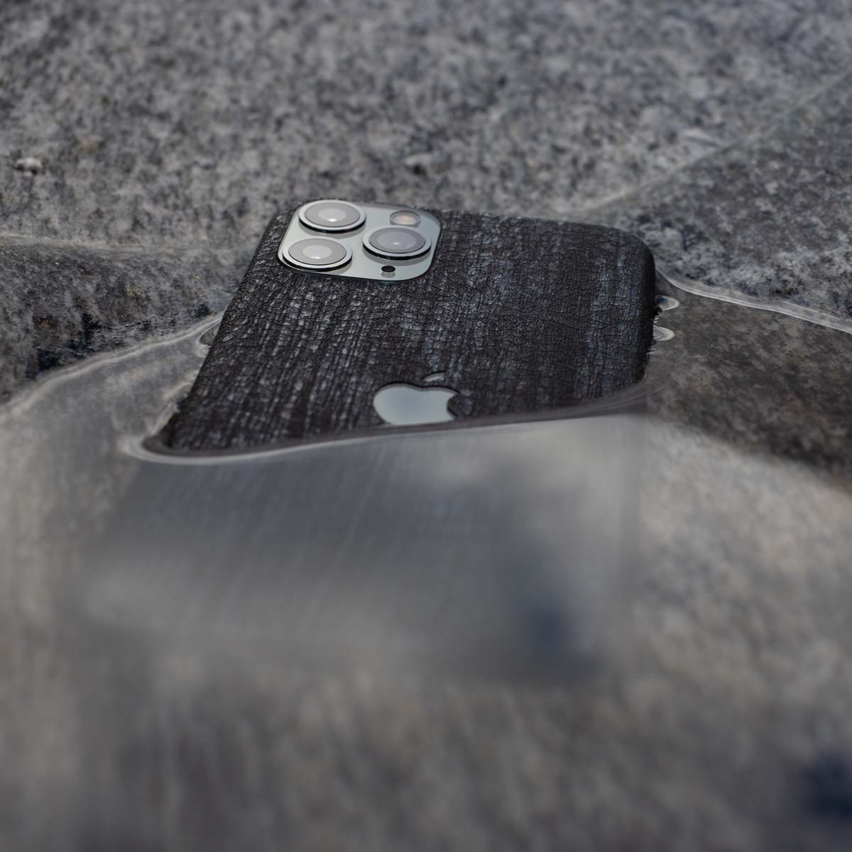 Burned Wood